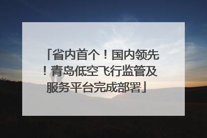 省内首个！国内领先！青岛低空飞行监管及服务平台完成部署