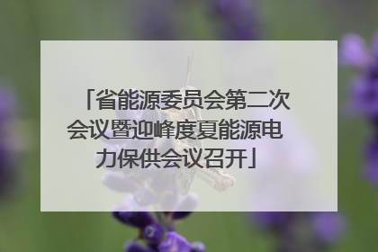 省能源委员会第二次会议暨迎峰度夏能源电力保供会议召开
