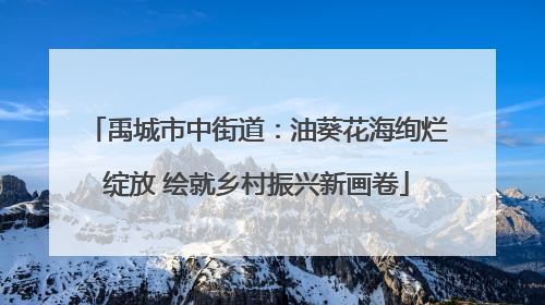 禹城市中街道：油葵花海绚烂绽放 绘就乡村振兴新画卷