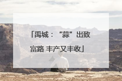 禹城：“蒜”出致富路 丰产又丰收