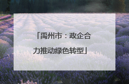 禹州市：政企合力推动绿色转型