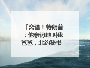 离谱！特朗普：他亲热地叫我爸爸，北约秘书长：我没有