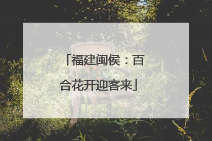 福建闽侯：百合花开迎客来