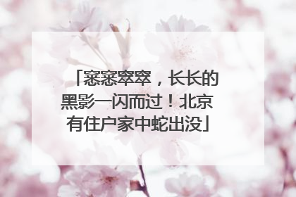 窸窸窣窣，长长的黑影一闪而过！北京有住户家中蛇出没