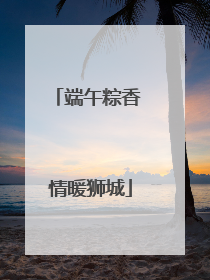 端午粽香 情暖狮城