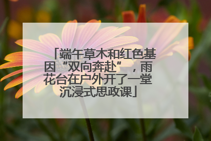 端午草木和红色基因“双向奔赴”，雨花台在户外开了一堂沉浸式思政课