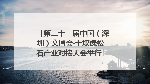 第二十一届中国（深圳）文博会·十堰绿松石产业对接大会举行
