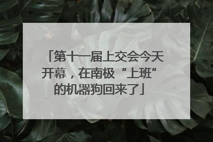第十一届上交会今天开幕，在南极“上班”的机器狗回来了
