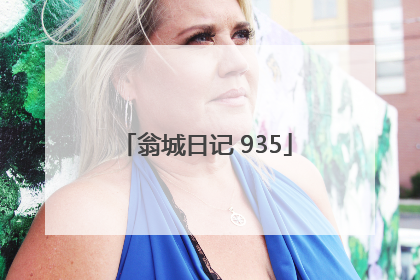 翁城日记 935