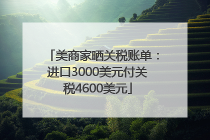 美商家晒关税账单：进口3000美元付关税4600美元