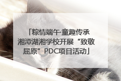 粽情端午·童趣传承 湘潭湖湘学校开展“致敬屈原”PDC项目活动