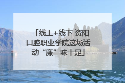 线上+线下 资阳口腔职业学院这场活动“廉”味十足