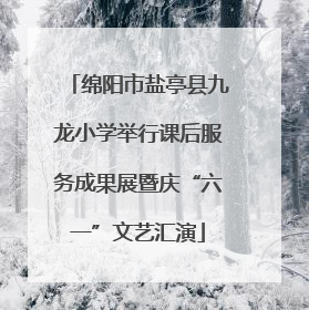 绵阳市盐亭县九龙小学举行课后服务成果展暨庆“六一”文艺汇演