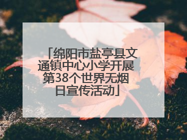 绵阳市盐亭县文通镇中心小学开展第38个世界无烟日宣传活动