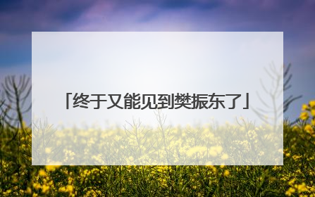 终于又能见到樊振东了