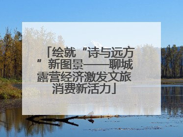 绘就“诗与远方”新图景——聊城露营经济激发文旅消费新活力