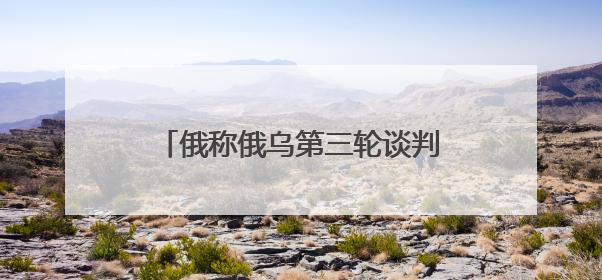 俄称俄乌第三轮谈判主题包括战俘交换