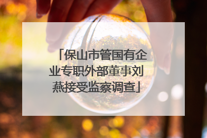 保山市管国有企业专职外部董事刘燕接受监察调查