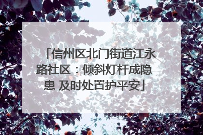 信州区北门街道江永路社区：倾斜灯杆成隐患 及时处置护平安