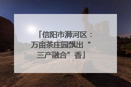 信阳市浉河区：万亩茶庄园飘出“三产融合”香