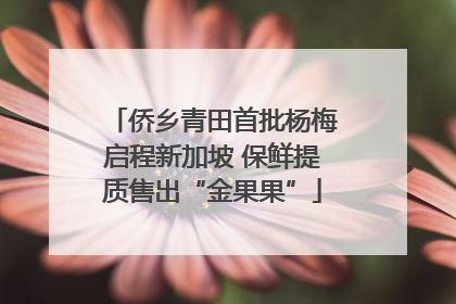侨乡青田首批杨梅启程新加坡 保鲜提质售出“金果果”