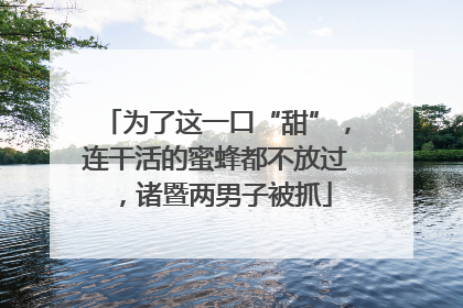 为了这一口“甜”，连干活的蜜蜂都不放过，诸暨两男子被抓