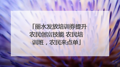 丽水发放培训券提升农民创富技能 农民培训班，农民来点单