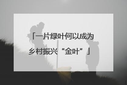 一片绿叶何以成为乡村振兴“金叶”