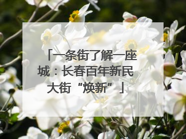 一条街了解一座城：长春百年新民大街“焕新”