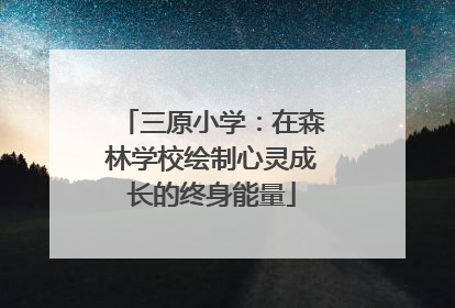 三原小学：在森林学校绘制心灵成长的终身能量