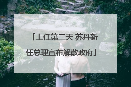 上任第二天 苏丹新任总理宣布解散政府
