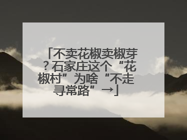 不卖花椒卖椒芽？石家庄这个“花椒村”为啥“不走寻常路”→
