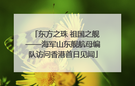 东方之珠 祖国之舰——海军山东舰航母编队访问香港首日见闻