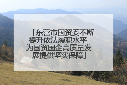 东营市国资委不断提升依法履职水平 为国资国企高质量发展提供坚实保障
