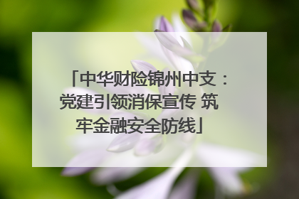 中华财险锦州中支：党建引领消保宣传 筑牢金融安全防线