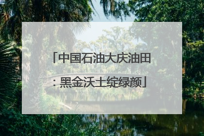 中国石油大庆油田：黑金沃土绽绿颜
