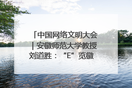 中国网络文明大会｜安徽师范大学教授刘道胜：“E”览徽风，构筑中华民族共有精神家园