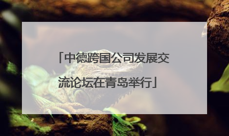 中德跨国公司发展交流论坛在青岛举行