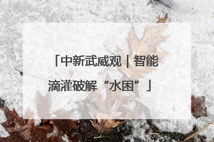 中新武威观｜智能滴灌破解“水困”