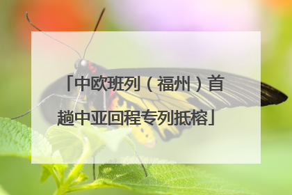 中欧班列（福州）首趟中亚回程专列抵榕