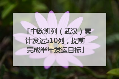 中欧班列（武汉）累计发运510列，提前完成半年发运目标