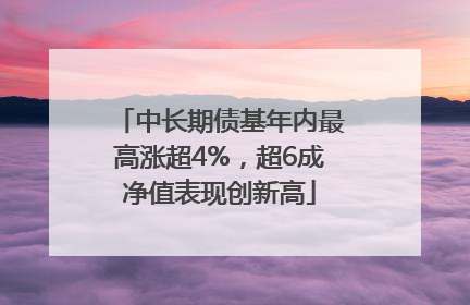 中长期债基年内最高涨超4%，超6成净值表现创新高