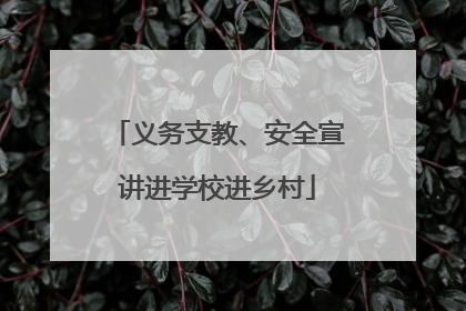义务支教、安全宣讲进学校进乡村