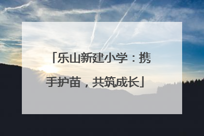 乐山新建小学：携手护苗，共筑成长