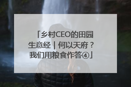 乡村CEO的田园生意经｜何以天府？我们用粮食作答④