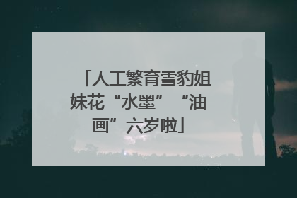 人工繁育雪豹姐妹花“水墨”“油画”六岁啦
