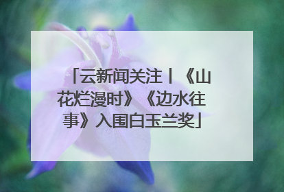 云新闻关注丨《山花烂漫时》《边水往事》入围白玉兰奖