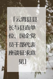 云霄县县长与县直单位、国企党员干部代表座谈征求意见