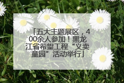 五大主题展区，400余人参加！黑龙江省希望工程“义卖童园”活动举行