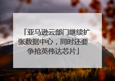 亚马逊云部门继续扩张数据中心，同时还要争抢英伟达芯片